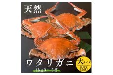 浜ゆで ワタリガニ (大) 1kg 3～5杯 オスのみ 冷凍 特製 三杯酢付き セット 旬 期間限定 海鮮 魚貝 魚介 新鮮 渡り蟹 カニ 蟹 天然 まるは本館 人気 おすすめ 愛知県 南知多町 魚 海鮮 お魚 カニ お米に合う コメに合う おかず ご飯のお供 魚貝類 わたりがに ボイルワタリガニ カニ 蟹 天然かに ふるさと納税ワタリガニ ふるさと納税蟹 ふるさと納税かに わたり蟹 渡りガニ