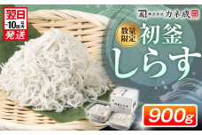 【最短翌日発送】初釜しらすセット 900g(しらす干し300g×3パック) 小分け 冷凍 しらす丼 シラス丼 しらす シラス ちりめん じゃこ チリメンジャコ かちり 魚 小魚 魚貝 しらす シラス ちりめん じゃこ チリメンジャコ かちり しらす シラス ちりめん じゃこ チリメンジャコ ふるさと納税しらす ふるさと納税シラス 愛知県 南知多 しらす シラス ちりめん コメ 米 に合う おこめ 