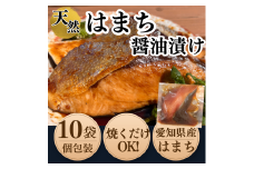 岬だよりの 天然はまちの醤油漬け 10袋セット＜個包装＞