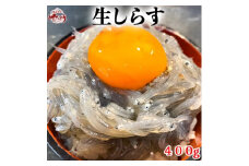 生しらす お刺身 約400g (100g×4P) 小分け 冷凍 真空パック 便利 簡単 刺身 パック 生しらす シラス 生しらす丼 しらす お刺身 海鮮丼 しらす丼 生しらす 生姜 醤油 お吸い物 生しらす シラス 新鮮 海鮮 ふるさと納税刺し身 魚貝 海産物 魚貝類 海の幸 魚 小魚 さかな ふるさと納税しらす ふるさと納税刺身 しらす 岬だより 人気 おすすめ 愛知県 南知多町