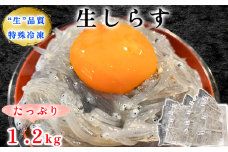生しらす(お刺身) 約1.2kg(100ｇ×12個) 岬だより
