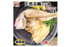 岬だよりの大人気 天然真鯛の干物　大サイズ5枚セット