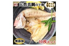 岬だよりの大人気 天然真鯛の干物　10枚セット