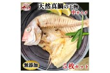 岬だよりの大人気 天然真鯛の干物　中サイズ5枚セット