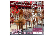 訳あり たこ 干物 半分(約120g) 日間賀島産真蛸の半生干物!旨味を凝縮しているから美味しい!