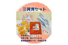 海神丸 三河湾 セット 5種 平貝 ( 貝ひも チャンジャ ・ 干物 ・ むき身 ) ・マイワシ 丸干し ・ ケンサキ イカ 冷凍 海鮮 魚介 海の幸 ご飯 ごはん おかず いわし 貝 愛知県 南知多町 人気 おすすめ ご飯 ごはん おかず 愛知県 南知多町 人気 おすすめ 珍味 おつまみ 夕食 晩ごはん 料理 簡単料理 お米に合う コメ に合う