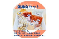 海神丸 セット 8種 平貝 ( チャンジャ × 2 ・ ステーキ 貝柱 ・干物 ・ 小柱 ・ 貝ひも ・ むき身 ) ・ ちりめん じゃこ 海鮮 魚介 貝 冷凍 愛知県 南知多町 人気 おすすめ  ご飯 ごはん おかず 愛知県 南知多町 人気 おすすめ 珍味 おつまみ 夕食 晩ごはん 料理 簡単料理 お米に合う コメ に合う