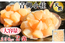 天然 青柳 小柱 250g × 2袋 岬だより セット 冷凍 小分け 青柳小柱 ふるさと納税貝 ふるさと納税魚介 パック 貝柱 人気 おすすめ 愛知県 南知多町