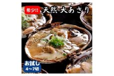 三河湾大あさり400g (下処理済・CAS冷凍) 訳あり あさり アサリ 貝 魚介 魚介類 あさり 魚貝 魚貝類 貝類 アサリ ごはん おかず おつまみ おすすめ 人気 ふるさと納税あさり あさり 愛知県南知多町 南知多 あさり 愛知県 海鮮 BBQ バーベキュー あさり 浜焼き 専用だし 醤油 付き 海の幸 砂出し 人気 おすすめ 愛知県 南知多町
