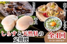 ＜発送月固定定期便＞しらすと天然貝の定期便 全4回 【離島不可】
