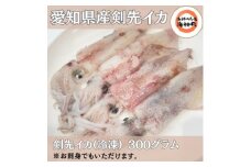 剣先イカ(アカイカ)2袋 小分け 冷凍 刺身 ケンサキイカ ふらい にもの みなみちたちょう いか 料理 おかず 天ぷら フライ 煮物 いか 南知多剣先いか 焼きそば お好み焼き 炒め物 いか 愛知県ケンサキイカ 愛知県 てんぷら いか いか飯 いか焼き ふるさと納税イカ いか 剣先いか南知多町 愛知県産 アカイカ南知多町 人気 おすすめ