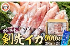 剣先イカ(アカイカ) 3袋 小分け 冷凍 刺身 ケンサキイカ ふらい にもの みなみちたちょう いか 料理 おかず 天ぷら フライ 煮物 いか 南知多剣先いか 焼きそば お好み焼き 炒め物 いか 愛知県ケンサキイカ 愛知県 てんぷら いか いか飯 いか焼き ふるさと納税イカ いか 剣先いか南知多町 愛知県産 アカイカ南知多町 人気 おすすめ【配送不可地域：離島】
