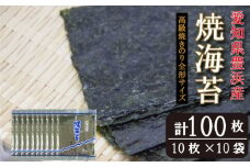 ＜漁師直売＞焼海苔 100枚(10枚×10袋)全形 焼のり 家庭用