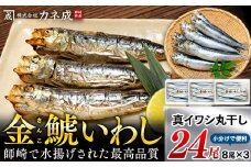 いわし 丸干し 冷凍 24尾(8尾×3袋) 小分け 干物 鰯 イワシ いわし 鰯 イワシ 干物 いわし 鰯 イワシ 干物 いわし 鰯 イワシ 干物 いわし 鰯 イワシ 干物 ご飯のおとも 酒の肴 酒のつまみ 海鮮 ふるさと納税いわし ふるさと納税鰯 ふるさと納税イワシ ふるさと納税干物 ふるさと納税いわし ふるさと納税鰯 ふるさと納税イワシ ふるさと納税干物 カネ成 金鯱いわし 愛知県 南知多