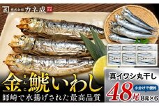 【ふるさと納税】 いわし 丸干し 48尾 ( 8尾 × 6 パック ) 干物 冷凍 小分け 愛知県 南知多町 ご飯 ごはん おかず おつまみ 魚 さかな 鰯 金鯱 イワシ 栄養 料理 カネ成 国産 人気 おすすめ 
