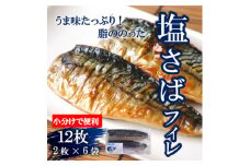塩さばフィレ 12枚(2枚×6袋) 小分け 便利 お弁当 おかず 冷凍便 鯖 サバ 魚 海鮮 魚介類 夕食 晩ごはん 夜ごはん お米に合う コメ に合う 南知多