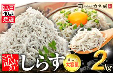 訳あり 釜揚げ しらす 2kg (1箱×2) 小分け 減塩 無添加 無着色 冷凍 愛知県 南知多町 ご飯 ごはん 丼 料理 国産 カネ成 シラス 人気 おすすめ