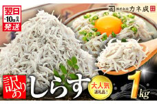 訳あり 釜揚げ しらす 1kg (1箱) 小分け 減塩 無添加 無着色 冷凍 愛知県 南知多町 ご飯 ごはん 丼 料理 国産 カネ成 シラス 人気 おすすめ