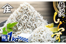 しらす 1kg ( 1kg × 1箱 ) 冷凍 極み ちりめん しらす干し 減塩 釜揚げ ごはん 丼 パスタ チャーハン サラダ 魚 料理 山庄 愛知県 南知多町 師崎