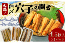 穴子 (4.5枚入×3パック) 1パック約130g 天然 活〆 穴子開き 国産 煮穴子 白焼き 蒲焼丼 天ぷら 愛知県 南知多町