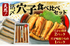 穴子 食べ比べ セット 天然 活〆 穴子開き 味醂ひもの 天然活〆穴子開き(4.5枚×2パック※1パック160g前後)･天然穴子味醂ひもの(4～6尾×1パック※1パック約80g) 国産 煮穴子 白焼き 蒲焼丼 天ぷら 愛知県 南知多町