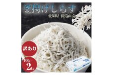 しらす 訳あり 1kg 1箱 釜揚げしらす シラス ごはん おかず チャーハン パスタ 料理 大きめ ランキング こだわり 鮮度 天塩 マル伊商店 愛知県 南知多町