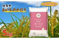 知多米 あいちのかおり 5kg 米 愛知  知多 特産品 南知多
