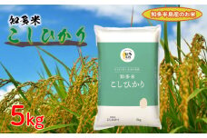 知多米 こしひかり 5kg 米 コシヒカリ 愛知  知多 特産品 南知多