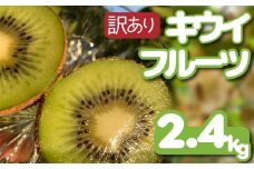 【先行予約】【12月上旬~順次発送】  訳あり キウイフルーツ 2.4kg 腸活 グリーンキウイ 健康 甘い キウイ フルーツ 無選別 みつばちキウイ 規格外 デザート 果物 くだもの 国産 愛知県 南知多町 【配送不可地域：北海道 青森 秋田 岩手 沖縄 離島】