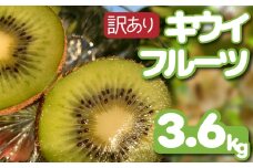 【先行予約】【12月上旬~順次発送】 訳あり キウイフルーツ 3.6kg 腸活 グリーンキウイ 健康 甘い キウイ フルーツ 無選別 みつばちキウイ 規格外 デザート 果物 くだもの 国産 愛知県 南知多町 【配送不可地域：北海道 青森 秋田 岩手 沖縄 離島】