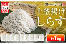 釜揚げ しらす プレミアム 約1kg (130g×8パック) 小分け 減塩 無添加 無着色 冷凍 愛知県 南知多町 ご飯 ごはん 丼 料理 シラス 国産 カネ成 人気 おすすめ