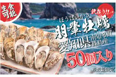 選べる 訳あり 牡蠣 かき 生食用 冷蔵 50個 朋輩牡蠣 篠島 かき 牡蠣 朋輩牡蠣 貝 かい オイスター 篠島 かき 牡蠣 朋輩牡蠣 貝 かい オイスター 篠島 かき 牡蠣 朋輩牡蠣 貝 かい オイスター 篠島 かき 牡蠣 朋輩牡蠣 貝 かい オイスター 篠島 かき 牡蠣 朋輩牡蠣 貝 かい オイスター ふるさと納税牡蠣 ふるさと納税かき ふるさと納税貝 愛知県 南知多町