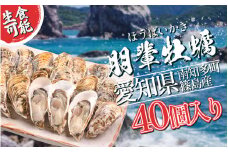 選べる 牡蠣 かき 生食用 冷蔵 40個 朋輩牡蠣 篠島 かき 牡蠣 朋輩牡蠣 貝 かい オイスター 篠島 かき 牡蠣 朋輩牡蠣 貝 かい オイスター 篠島 かき 牡蠣 朋輩牡蠣 貝 かい オイスター 篠島 かき 牡蠣 朋輩牡蠣 貝 かい オイスター 篠島 かき 牡蠣 朋輩牡蠣 貝 かい オイスター ふるさと納税牡蠣 ふるさと納税かき ふるさと納税貝 愛知県 南知多町