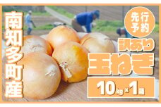 【先行予約 5～6月出荷】 訳あり 玉ねぎ 10kg(1箱)  野菜 オニオン 甘い 玉葱 肉じゃが ハンバーグ 家庭用 大きさ不揃い 先行予約 