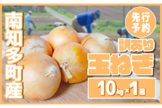 【先行予約 5～6月出荷】 訳あり 玉ねぎ 10kg(1箱)  野菜 オニオン 甘い 玉葱 肉じゃが ハンバーグ 家庭用 大きさ不揃い 先行予約 