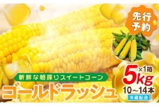 【先行予約 6月下旬から出荷】 スイートコーン 約5kg 10～14本 冷蔵 国産 とうもろこし 先行予約 数量限定 コーン 野菜 新鮮 焼き 蒸し 産地 直送 甘い 甘口 子ども 子供 小分け 種子 肥料 さわやか すっきり 糖度 黄色 人気 おすすめ 愛知県 南知多町 