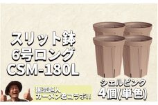 スリット鉢4個 6号 シェルピンク