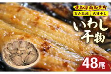 訳あり いわし 干物 48尾 (16尾×3パック) 冷蔵 国産 小分け 開き 便利 パック ご飯 イワシ ごはん 魚 さかな いわし 簡単 調理 干物 真イワシ ご飯のお供 つまみ 干物 酒の肴 鰯 晩酌 おかず マイワシ いわし 干物 海鮮 新鮮 魚介 いわし 海産 ヤマカ水産 愛知県 南知多町 人気 おすすめ