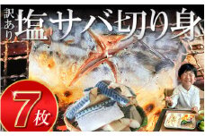 訳あり 塩サバ 切り身 7切 (約500g) 冷凍 鯖 塩 さば 魚 さかな 海鮮 海産物 おかず サバ 鯖ご飯 おすすめ 人気 さば サバ  鯖 魚 魚介 海鮮 惣菜 塩サバ 塩鯖 焼き鯖 サバ 焼きさば 焼さば 減塩  塩 鯖 さば サバ おすすめ 人気 ふるさと納税 鯖 サバ さば ふるさと納税さば 愛知県南知多町 南知多 株式会社 山太 さば 鯖 人気 おすすめ 愛知県 南知多町