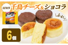アルザス 選べる ミックス 6個（チーズ3個 ショコラ3個） 冷凍 チーズケーキ ガトーショコラ 愛知県 南知多町