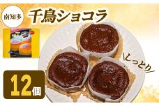 アルザス 選べる 千鳥ショコラ 12個 冷凍 ガトーショコラ チョコケーキ 愛知県 南知多町