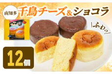アルザス 選べる ミックス 12個（チーズ6個 ショコラ6個） 冷凍 チーズケーキ ガトーショコラ 愛知県 南知多町