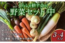 丸山農園の野菜セット 中セット 3~4人用 おまかせ 6～8品目 無農薬 くらしを耕す会 野菜 やさい サラダ 健康 人参 玉ねぎ 大根 野菜 やさい サラダ 健康 人参 玉ねぎ 大根 野菜 やさい サラダ 健康 人参 玉ねぎ 大根 野菜 やさい サラダ 健康 人参 玉ねぎ 大根 野菜 やさい サラダ 健康 人参 玉ねぎ 大根 ふるさと納税野菜 ふるさと納税サラダ 愛知県 南知多町