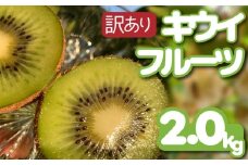 【先行予約】【12月上旬~順次発送】 訳あり キウイフルーツ 2kg 腸活 グリーンキウイ 健康 甘い キウイ フルーツ 無選別 みつばちキウイ 規格外 デザート 果物 くだもの 国産 愛知県 南知多町 【配送不可地域：北海道 青森 秋田 岩手 沖縄 離島】