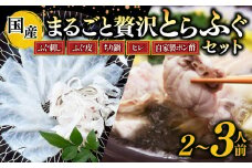 【先行予約11月～】 とらふぐ まるごと セット てっさ てっぴ ふぐちり ふぐヒレ 冷凍 特製 ポン酢 薬味 付き 贅沢 国産 すだち ふぐ皮 ちり鍋 新鮮 てっさ盛 ふぐ刺し ふぐ皮 刺し身 ふぐ 高級魚 鮮魚 ふぐ 魚介 フグ刺し ふぐ 河豚 刺盛り 天然 養殖 贈答 プレゼント ギフト ふぐ 高級 中元 歳暮 記念日 ご褒美 お取り寄せ グルメ ふぐ 人気 おすすめ 愛知県 南知多町