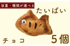 たいぱい　チョコ　5個