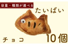 たいぱい　チョコ　10個