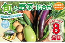 野菜セット (8品目) 旬 季節 南知多産 詰め合わせ 農薬･化学肥料不使用 農家おまかせ 季節の野菜 旬の野菜 料理 とりのさと農園 愛知県 南知多町