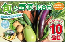 野菜セット (10品目) 旬 季節 南知多産 詰め合わせ 農薬･化学肥料不使用 農家おまかせ 季節の野菜 旬の野菜 料理 とりのさと農園 愛知県 南知多町