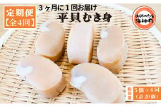 【3ヶ月毎定期便】 平貝 (タイラギ) 全4回 5個×4回 20個 冷凍 平貝 タイラギ 貝 魚貝類 魚貝 タイラガイ 魚介 貝類 冷凍 BBQ 平貝 タイラギ 貝 魚貝類 魚貝 タイラガイ 魚介 貝類 冷凍 刺身 平貝 タイラギ 貝 魚貝類 魚貝 タイラガイ 魚介 貝類 冷凍 バター炒め 平貝 タイラギ 貝 魚貝類 魚貝 タイラガイ 魚介 貝類 冷凍 フライ 平貝 魚貝類 魚貝 愛知県 南知多町